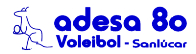 logo adesa